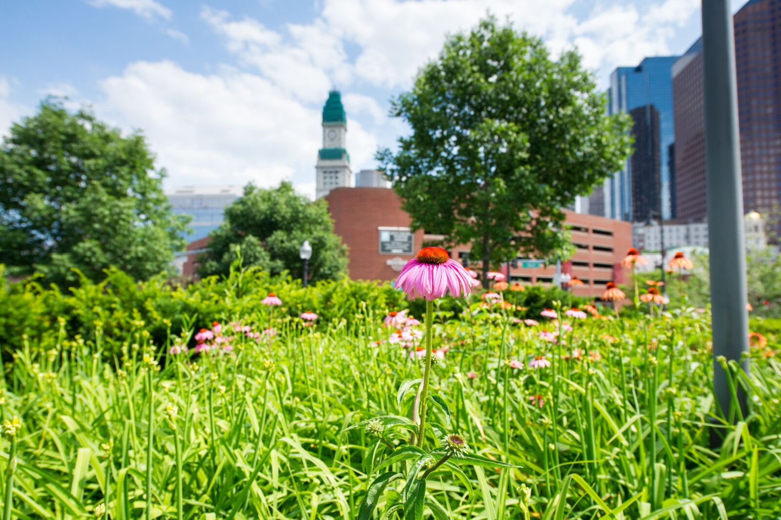 rose kennedy greenway - best parks in boston