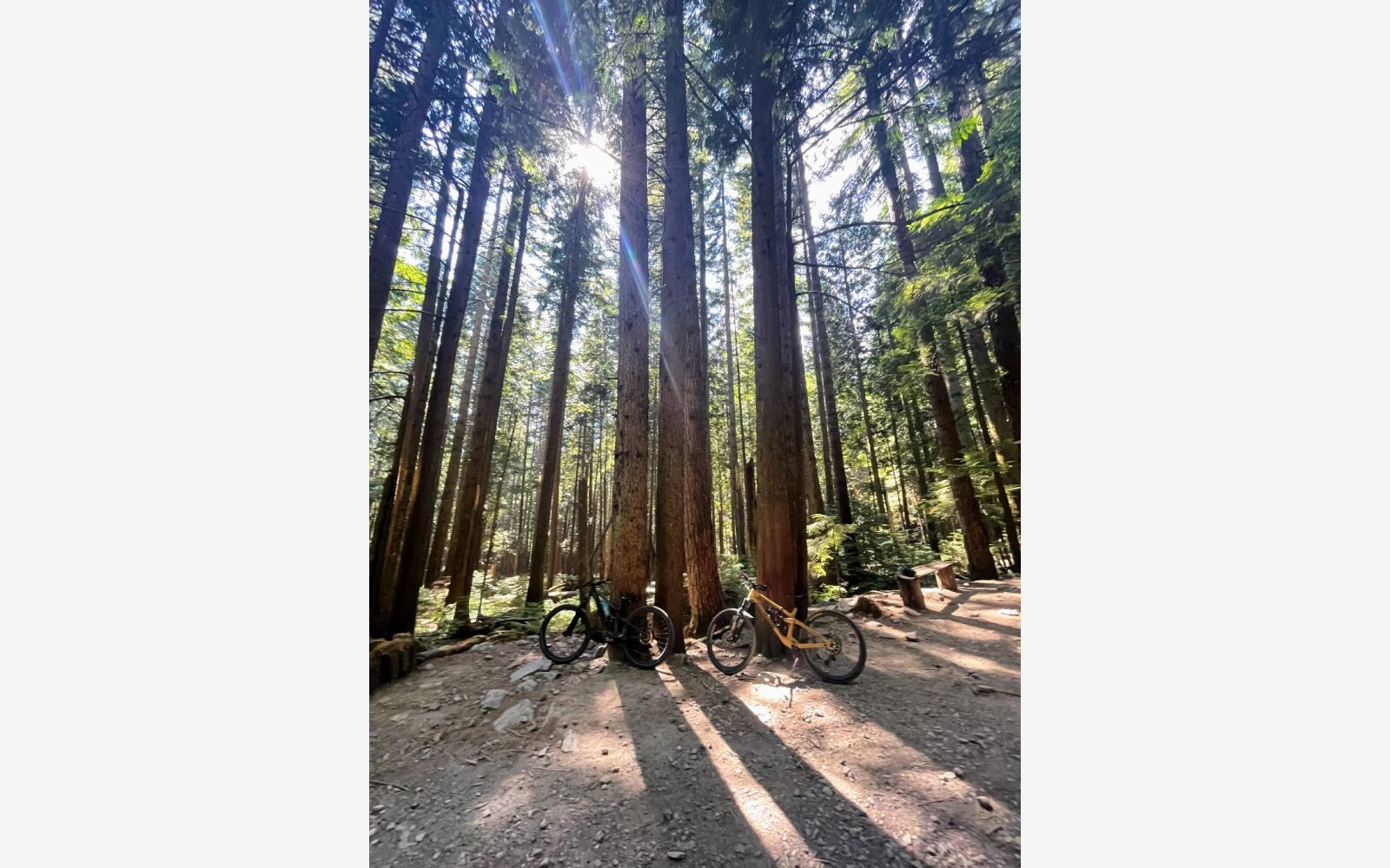 best vancouver parks - bike at fromme