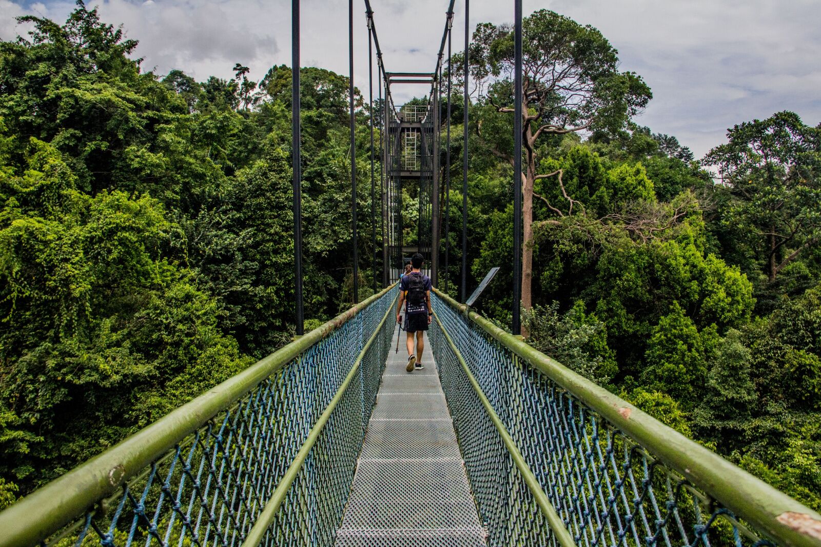 jungle walkway at a popular park in singamore