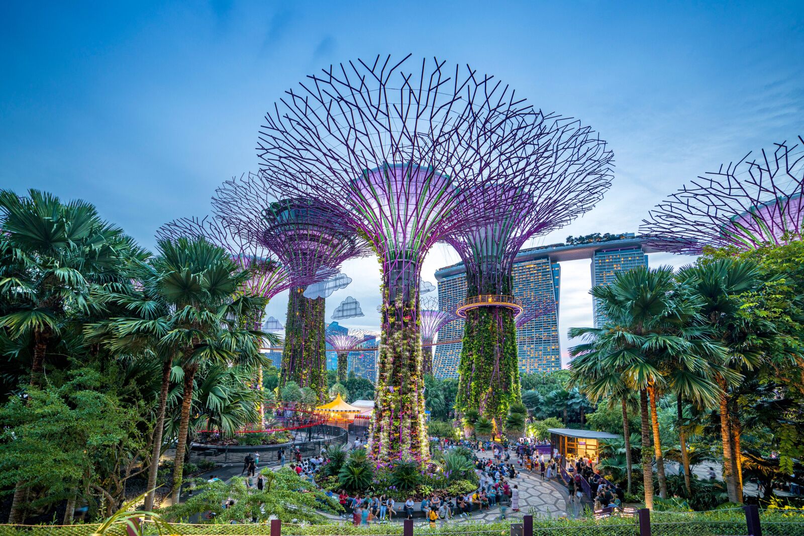 parks in singapore - gardens by the bay