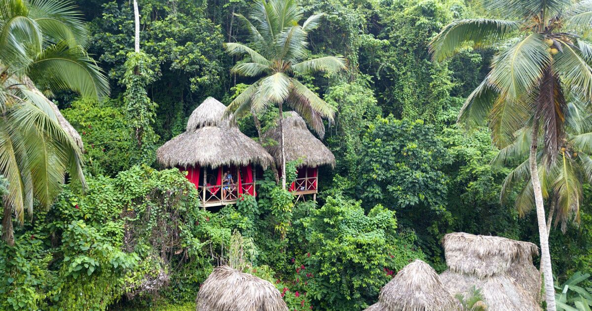 Dominican Tree House Village Is a Dreamy Hotel Above the Jungle