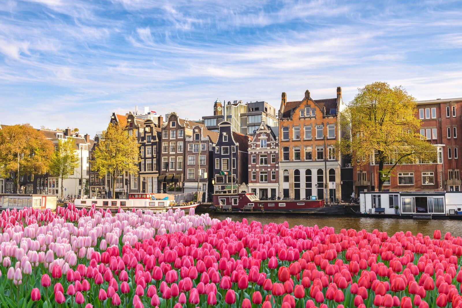 parks in amsterdam - tulips and waterway