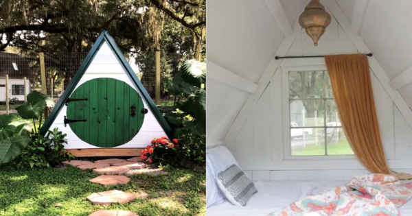 Green Door Hobbit Cottage Airbnb: Bunk With A Zebra In Florida