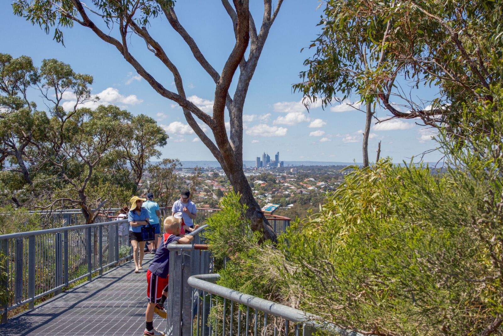 Bold Park australia lookout point