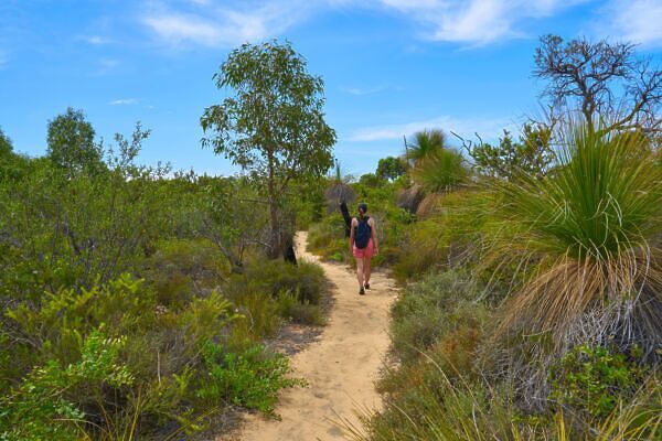 Parks in Perth: the 7 Best Natural Sites in the Hip Australian City