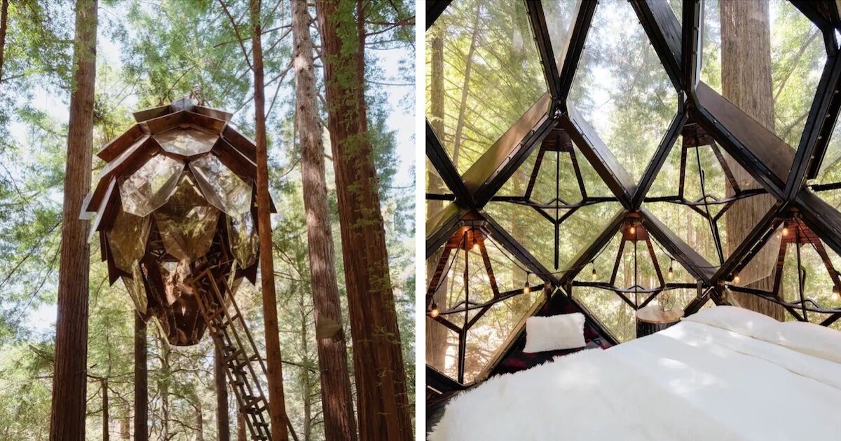 Inside the Pinecone Treehouse Airbnb Near Santa Cruz CA