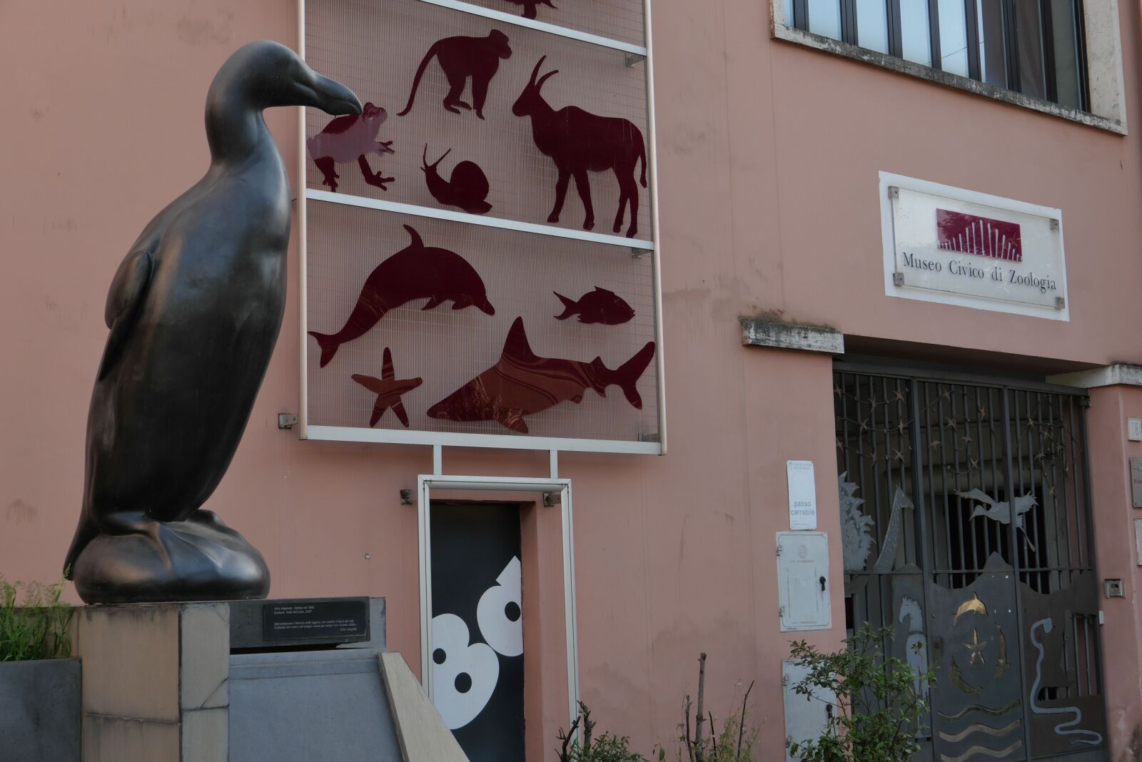 museums in rome - zoological museum