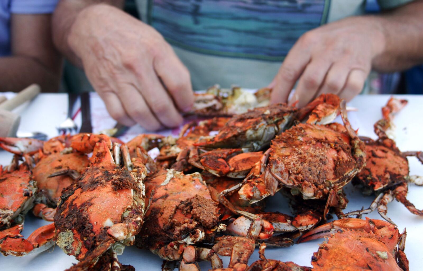 crab feast - things to do in dc with kids 
