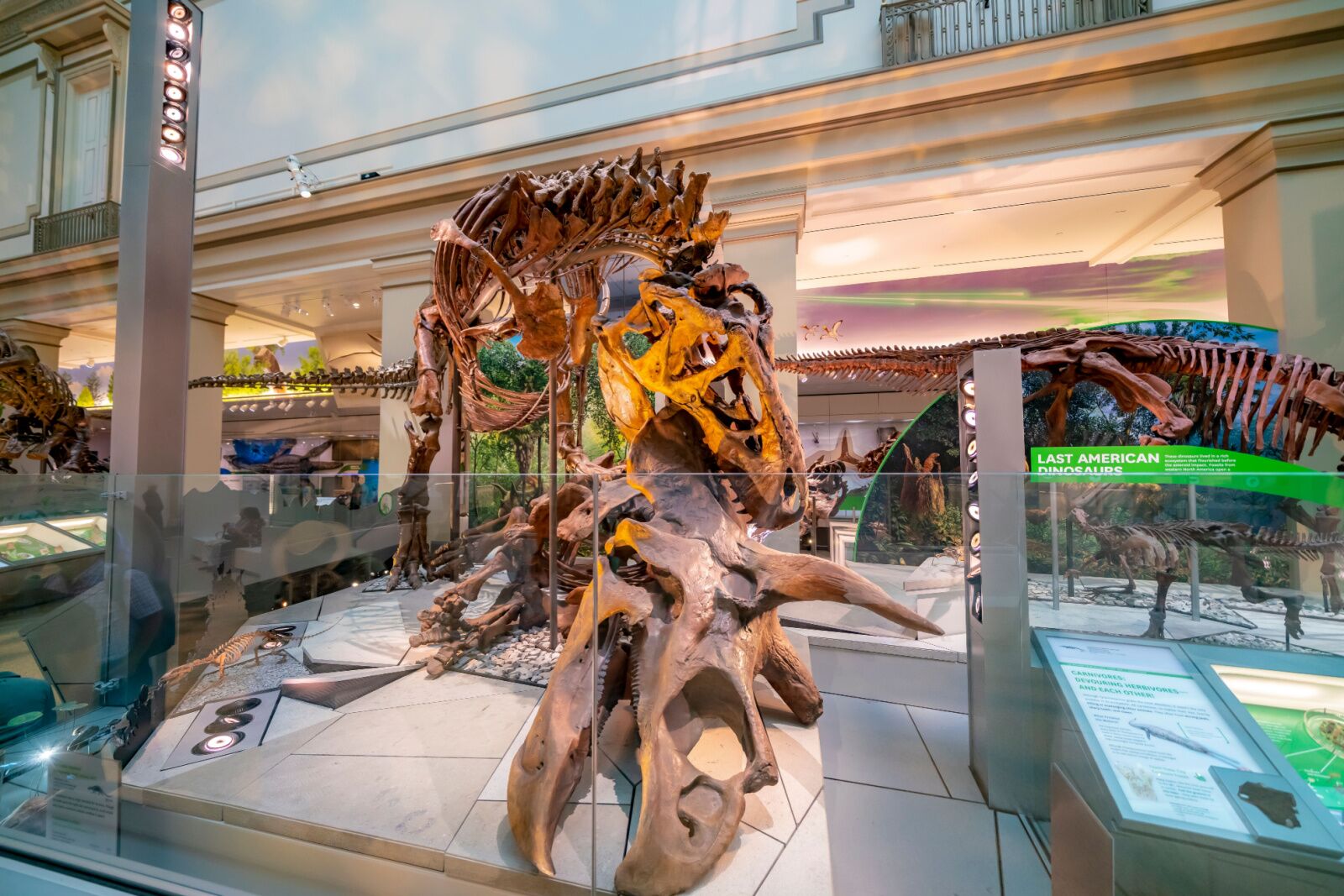 Smithsonian dinosaurs - summer things to do in dc with kids 