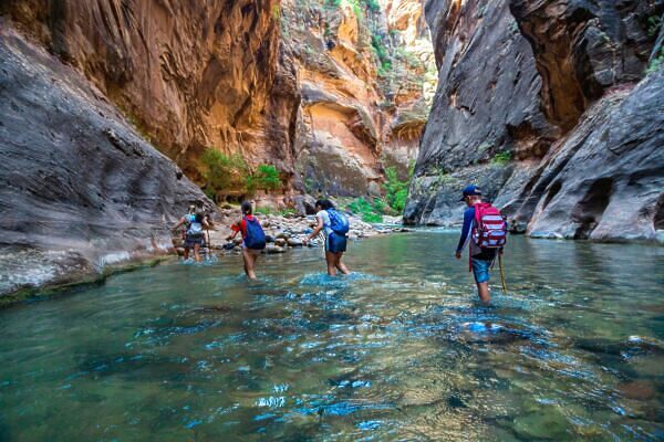 The 4th Grade National Park Pass: a Full Guide