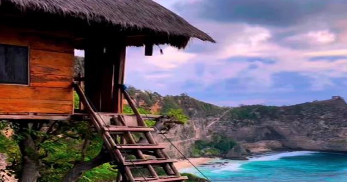 Book Rumah Pohon Tree House, Bali's Insta-Famous Treehouse
