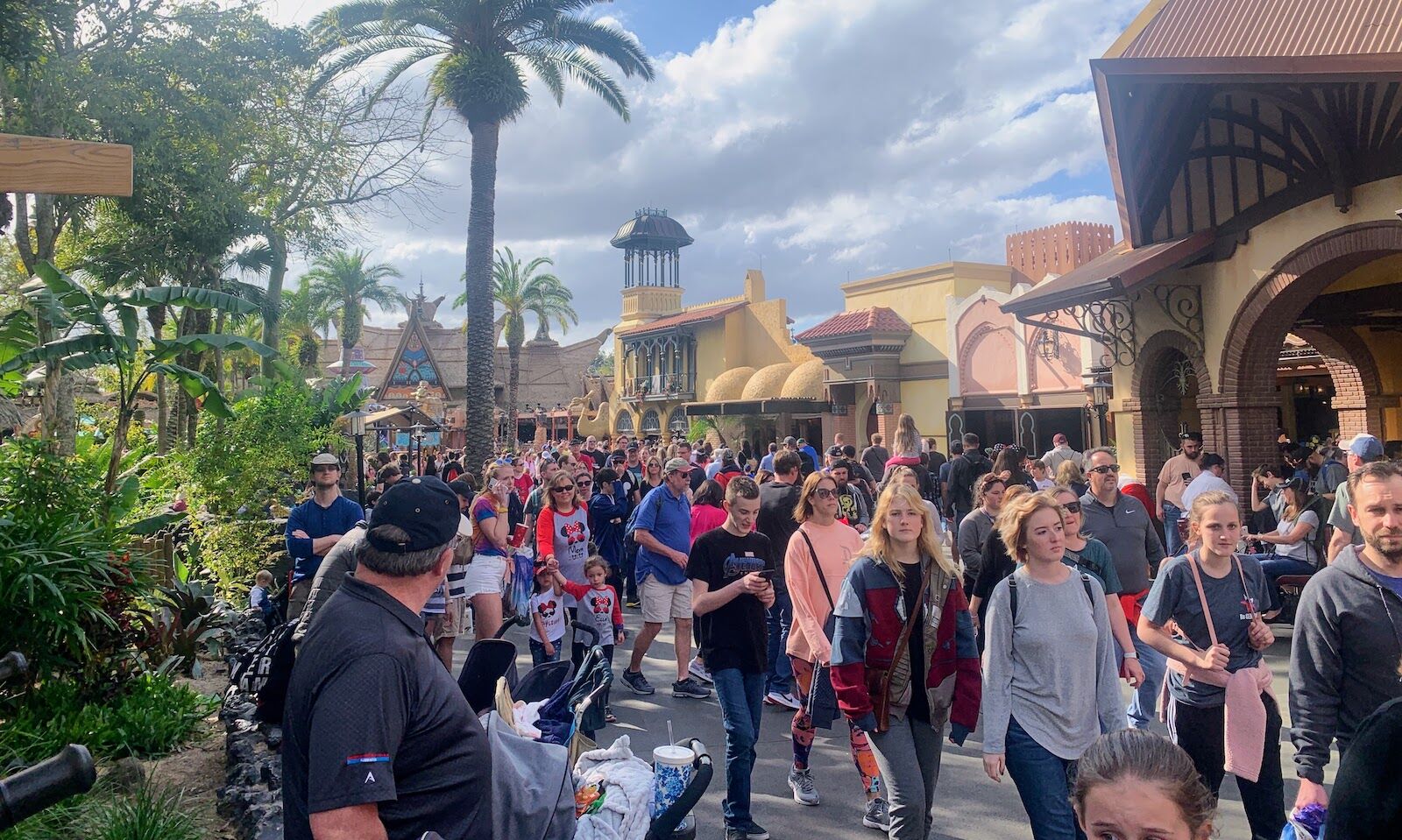 planning a trip to disney - long lines at a park