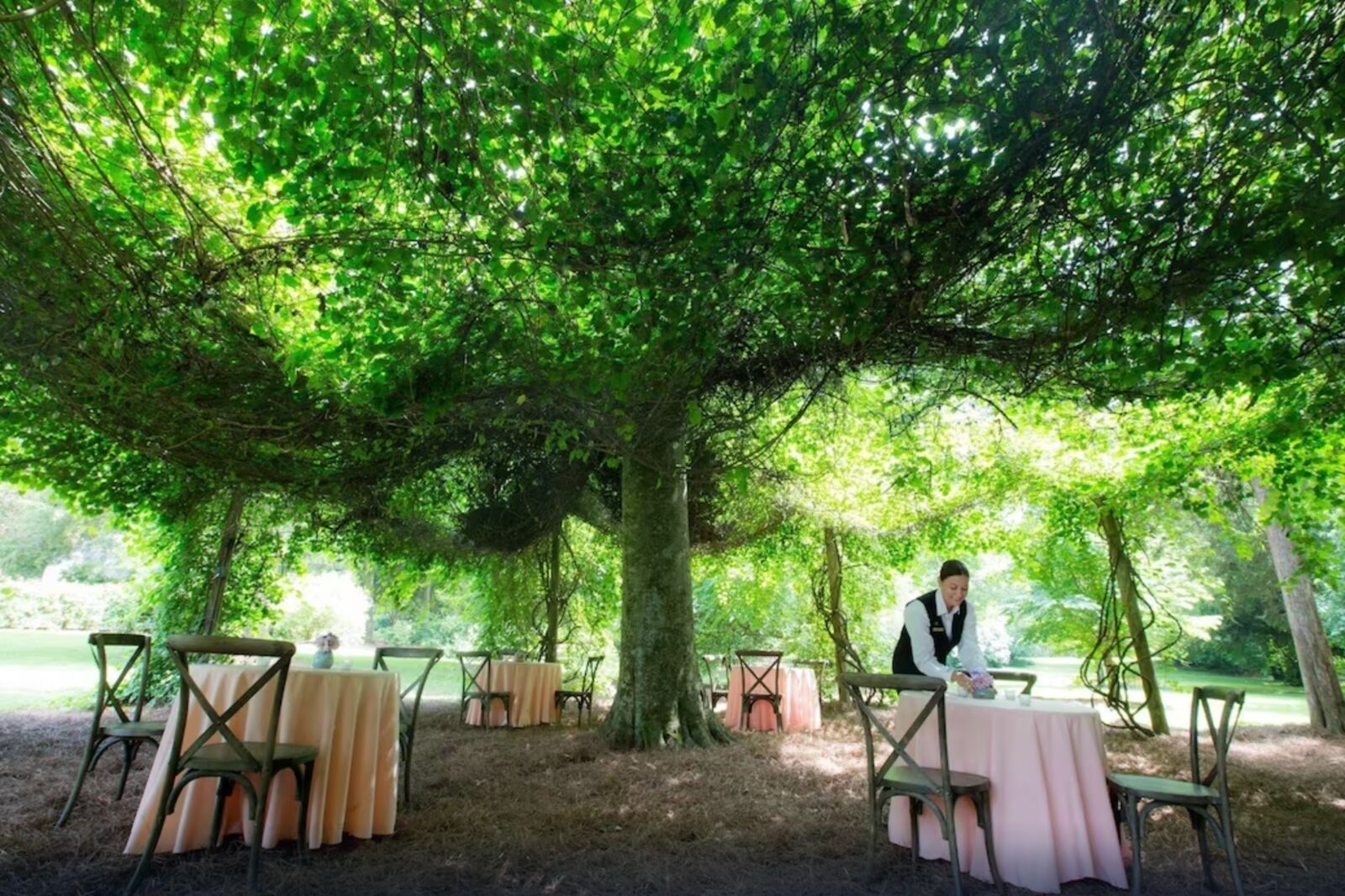 Dining under trees at Barnsley Resort