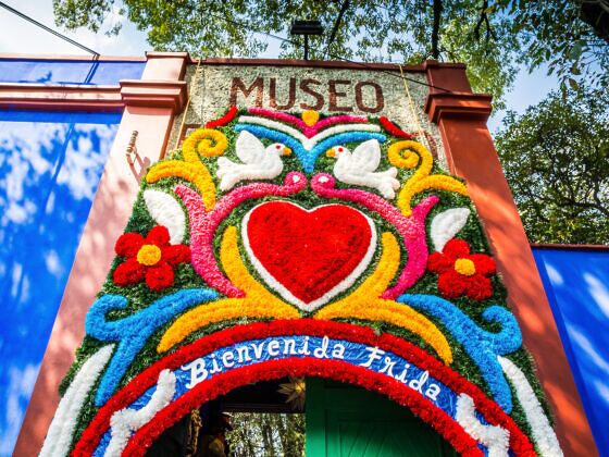 visit the frida kahlo museum