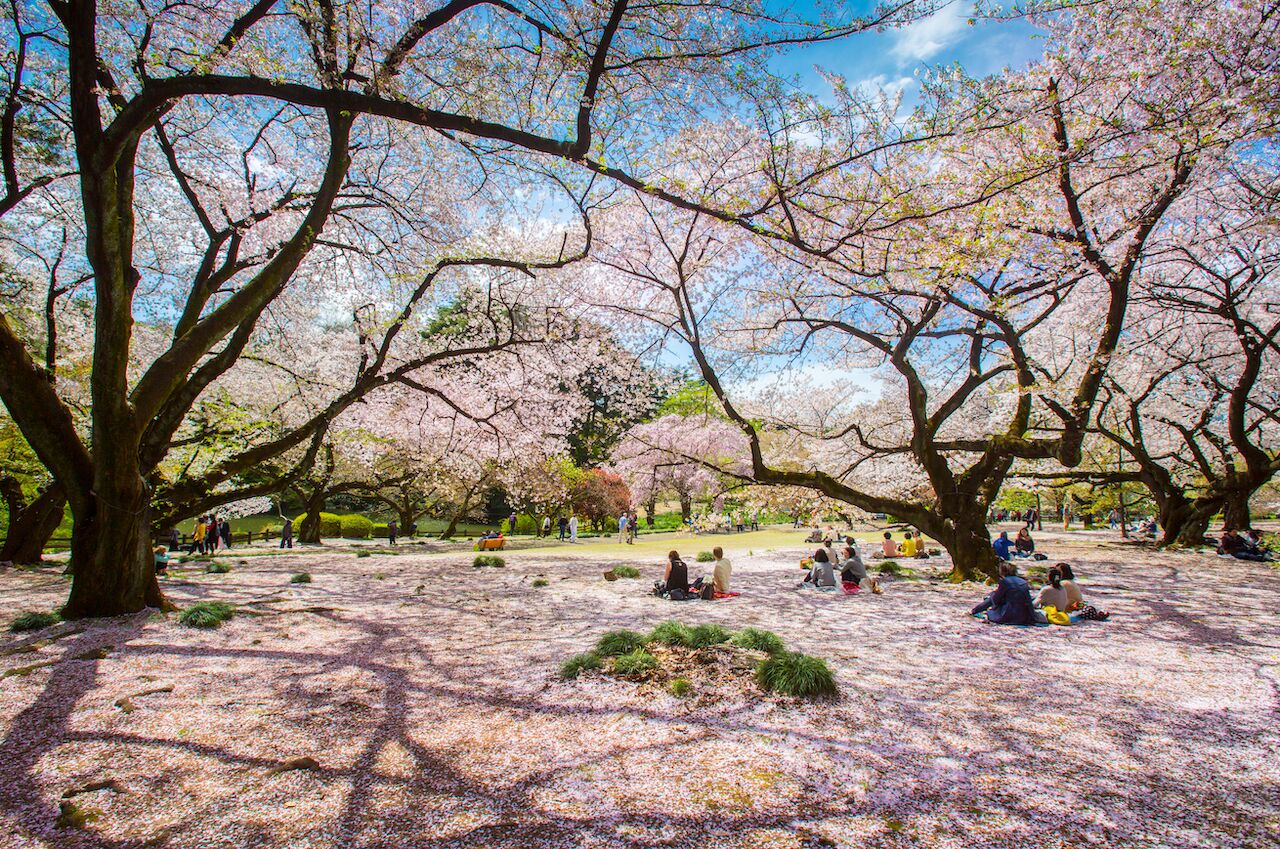 parks-in-tokyo