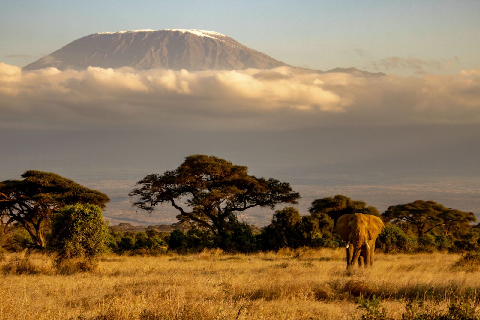 how tall is mount kilimanjaro - clouds and peak