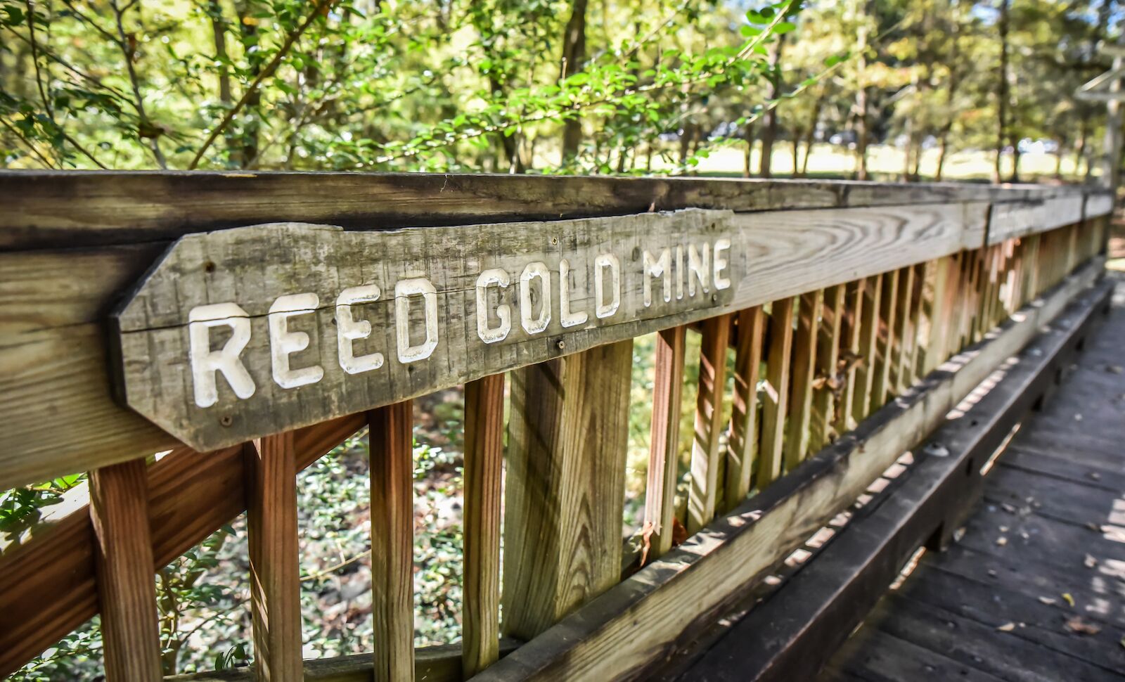 reed gold mine cabarrus county