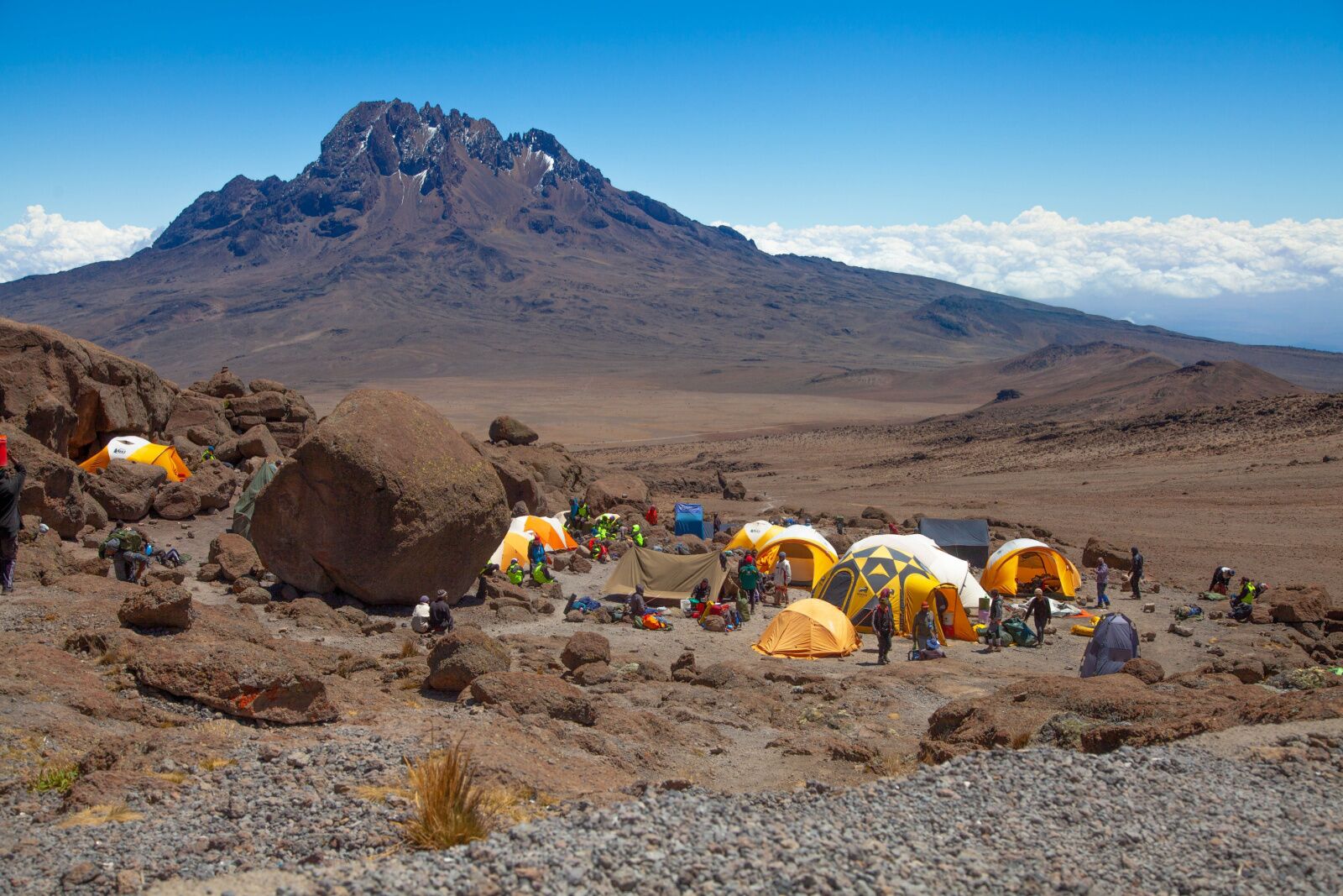 how much does it cost to hike kilimanjaro - tent at camp