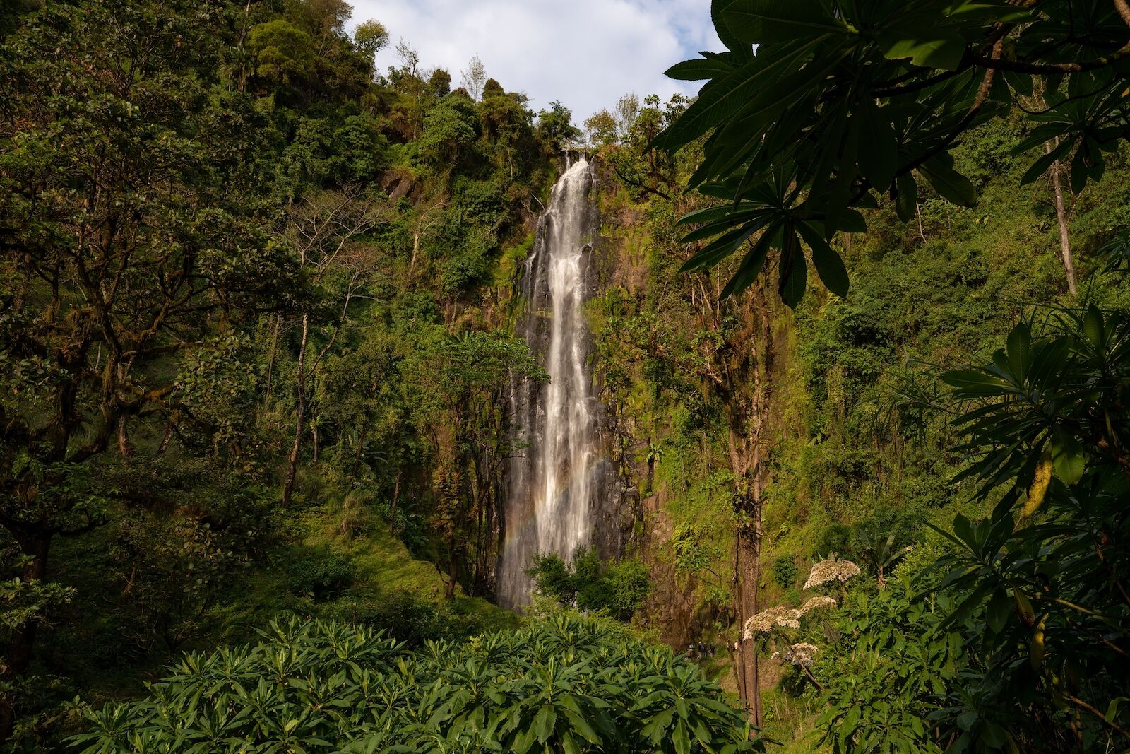 things to do in mount kilimanjaro national park- waterfall