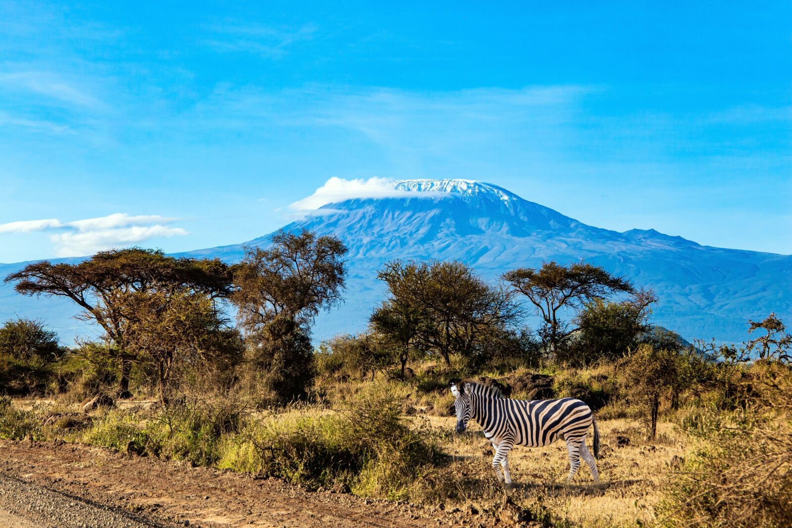 Mount Kilimanjaro National Park 1920x1040 Mount Kilimanjaro National Park 1920x1040