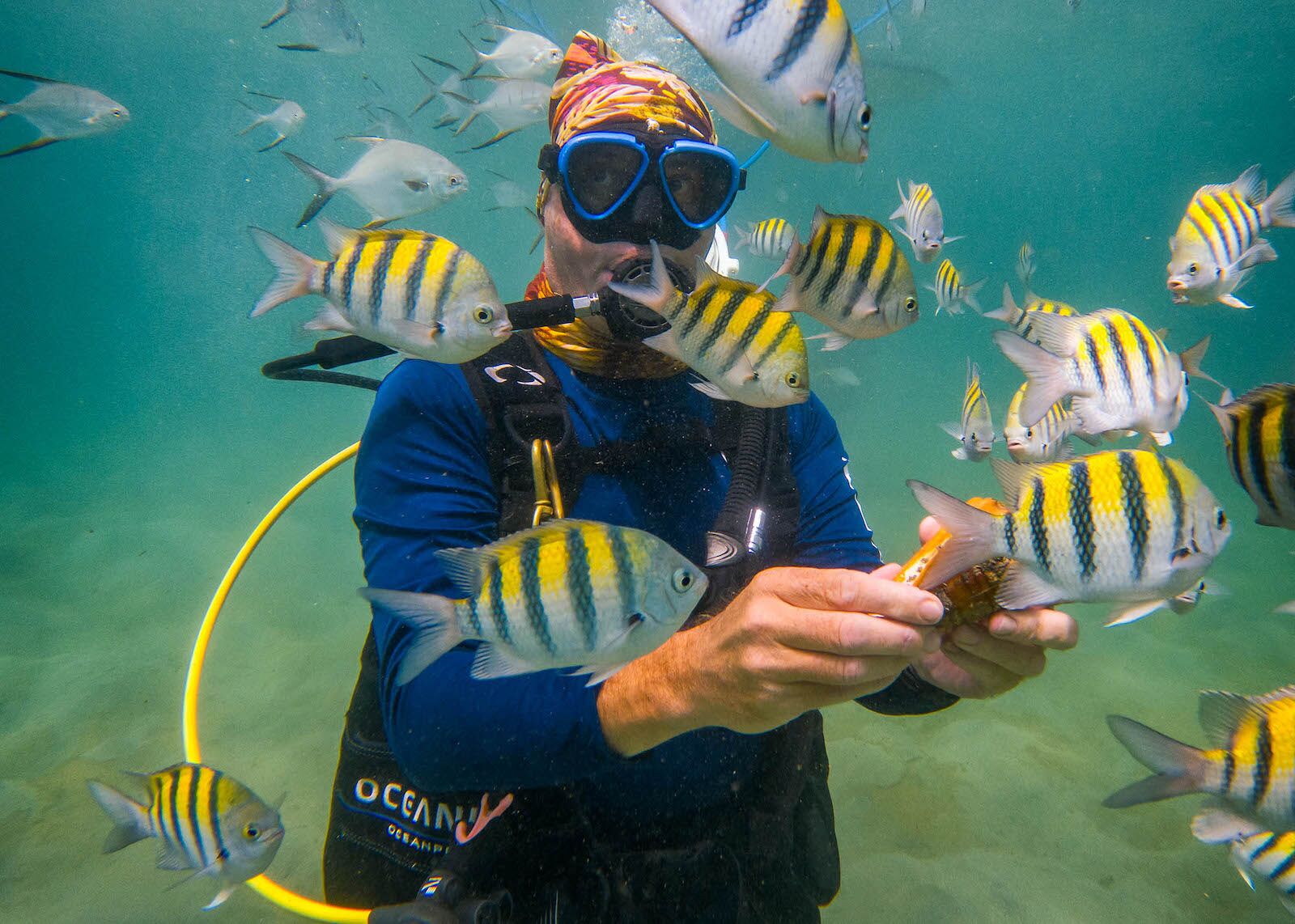 diving underwater at el caribe puerto rico surrounded by fish