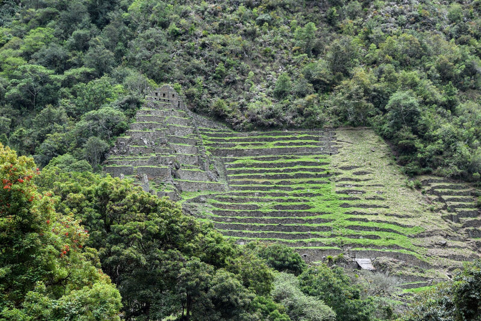 Inca Rail Peru - terraced archaeological site near Machu Picchu 