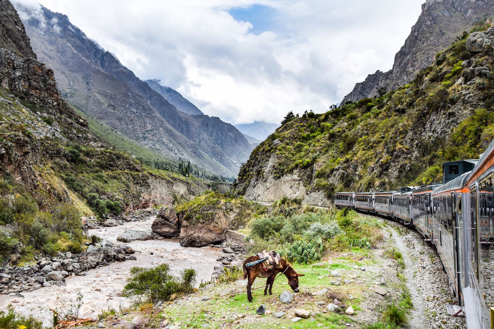 Inca Rail Peru - horse and saddle in valley on way to machu picchu 