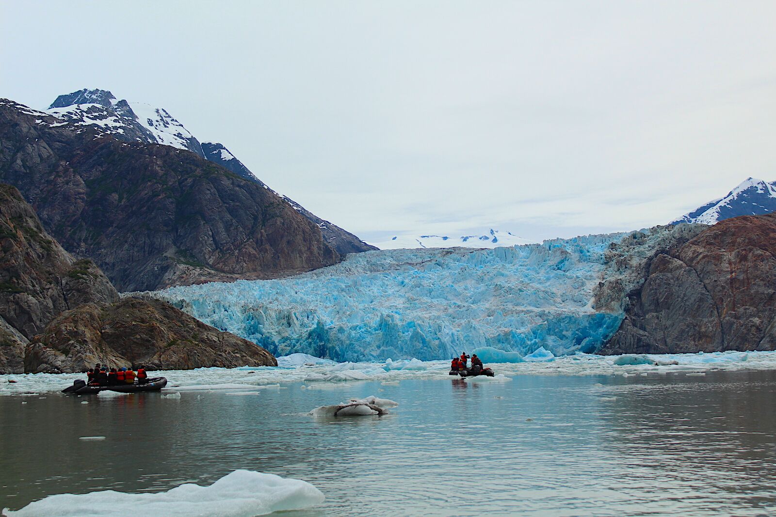 lindblad expeditions alaska cruises