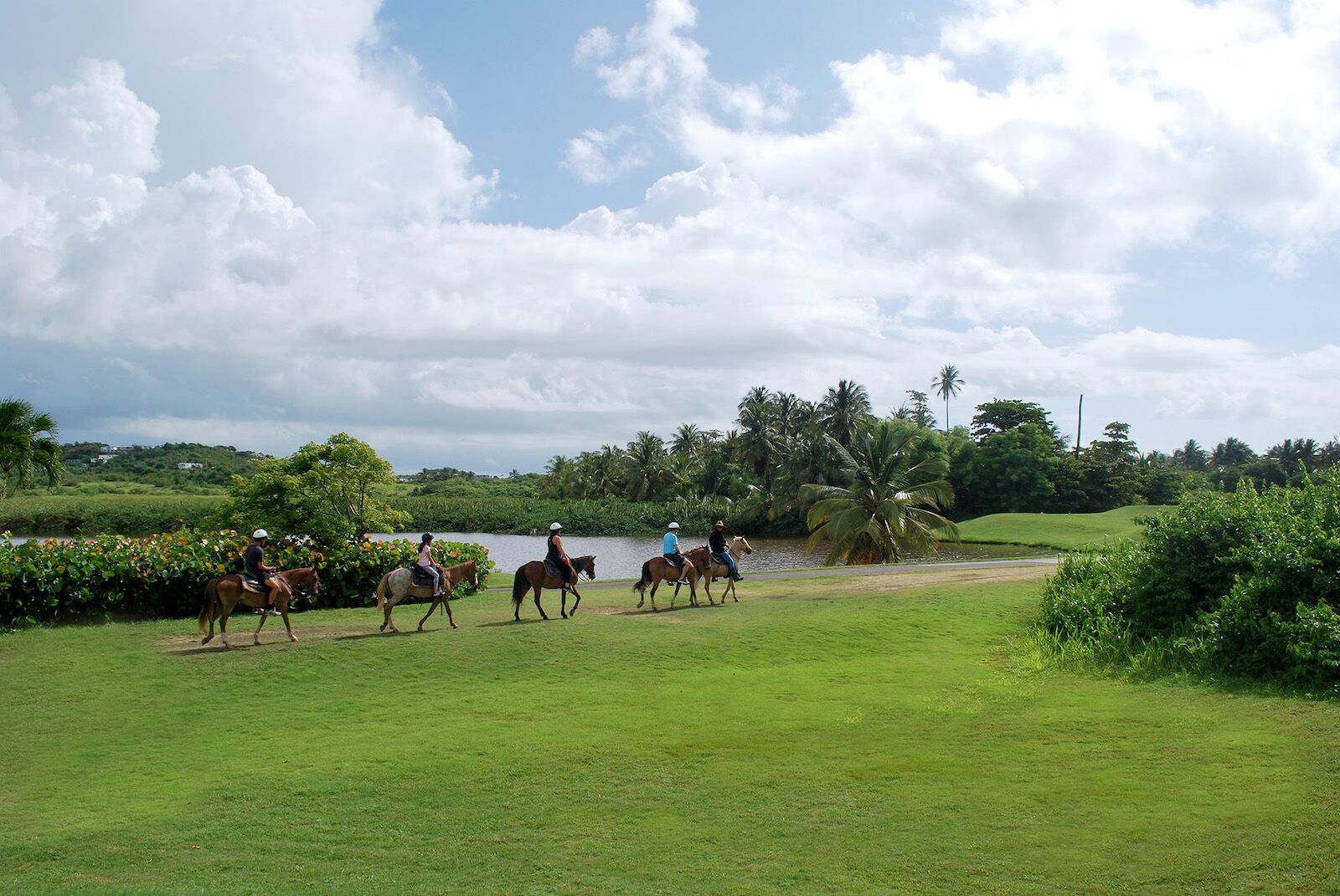 horseback riding at wyndham palmas resort