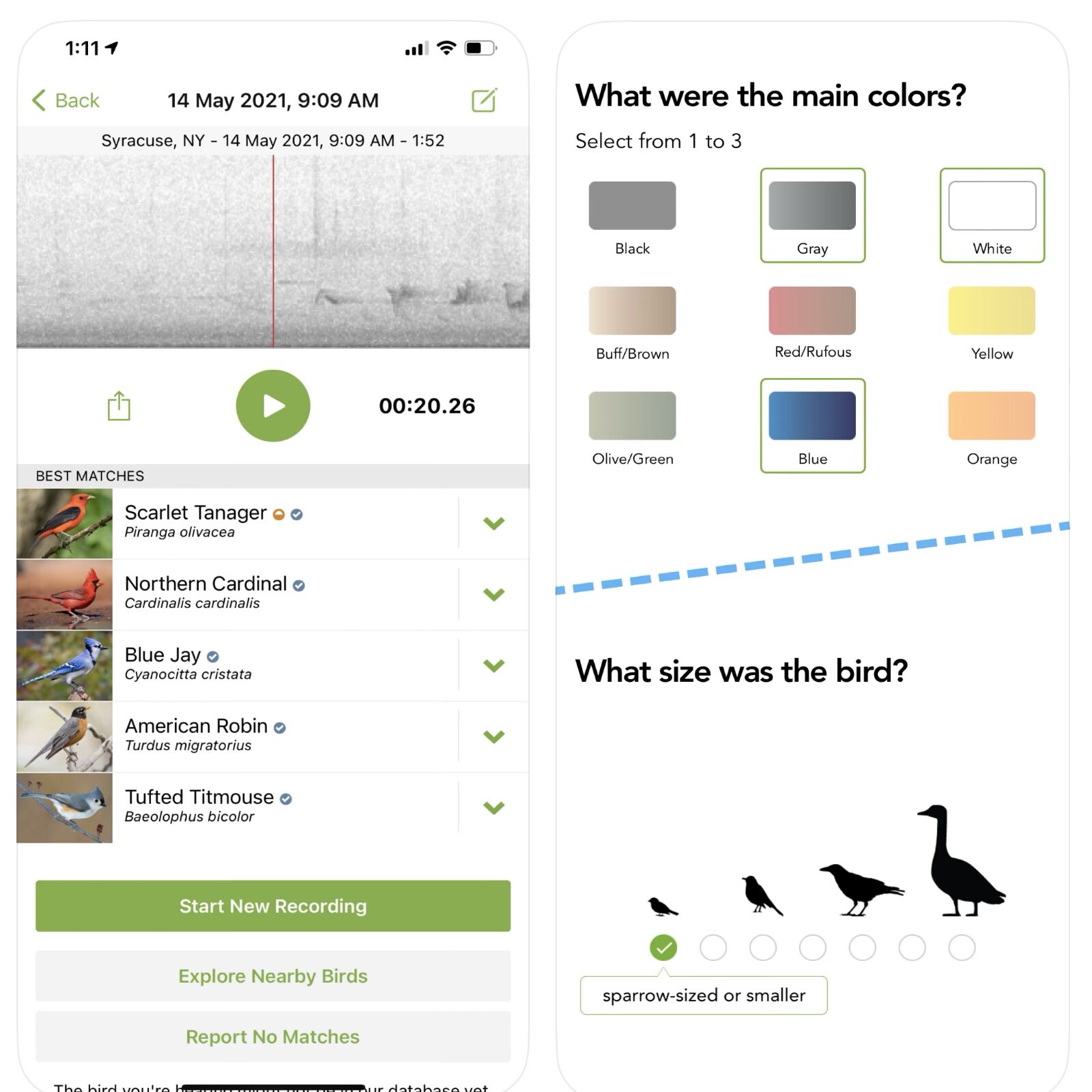 best apps for stargazing - merlin bird