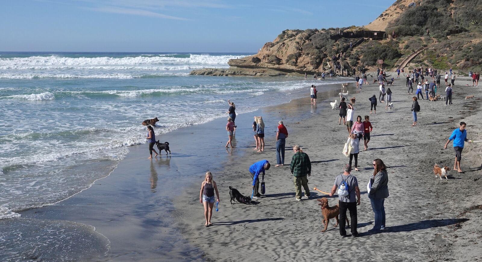 Del Mar, CA / USA - December 26, 2018: People and their dogs enjoy a sunny day at Del Mar dog beach in San Diego County