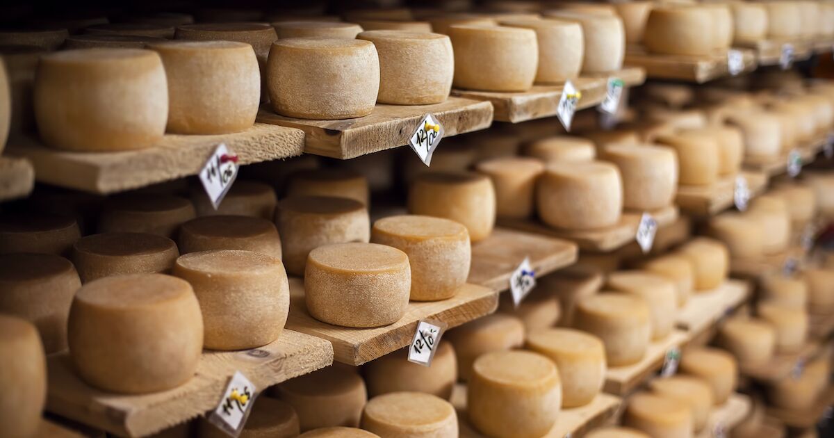 Cheese Producers - Fromagination