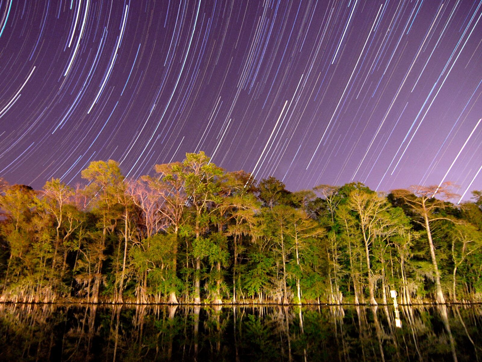 astrophotography star trails over trees at lake