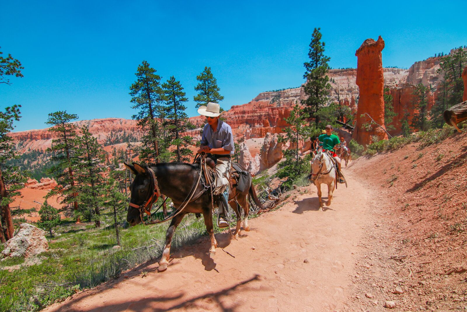 BRYCE CANYON, UTAH - June 27, 207: People riding on horses on the hiking trails in Bryce Canyon National Park on September 3, 2015. Horse riding tour are popular by tourist in the Bryce Canyon.