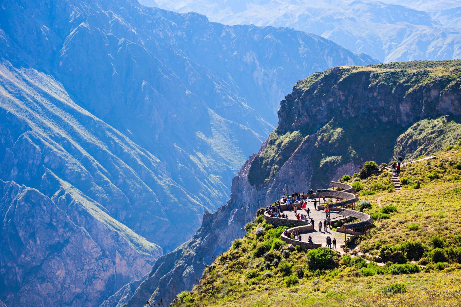 andean condor watching at colca canyon peru