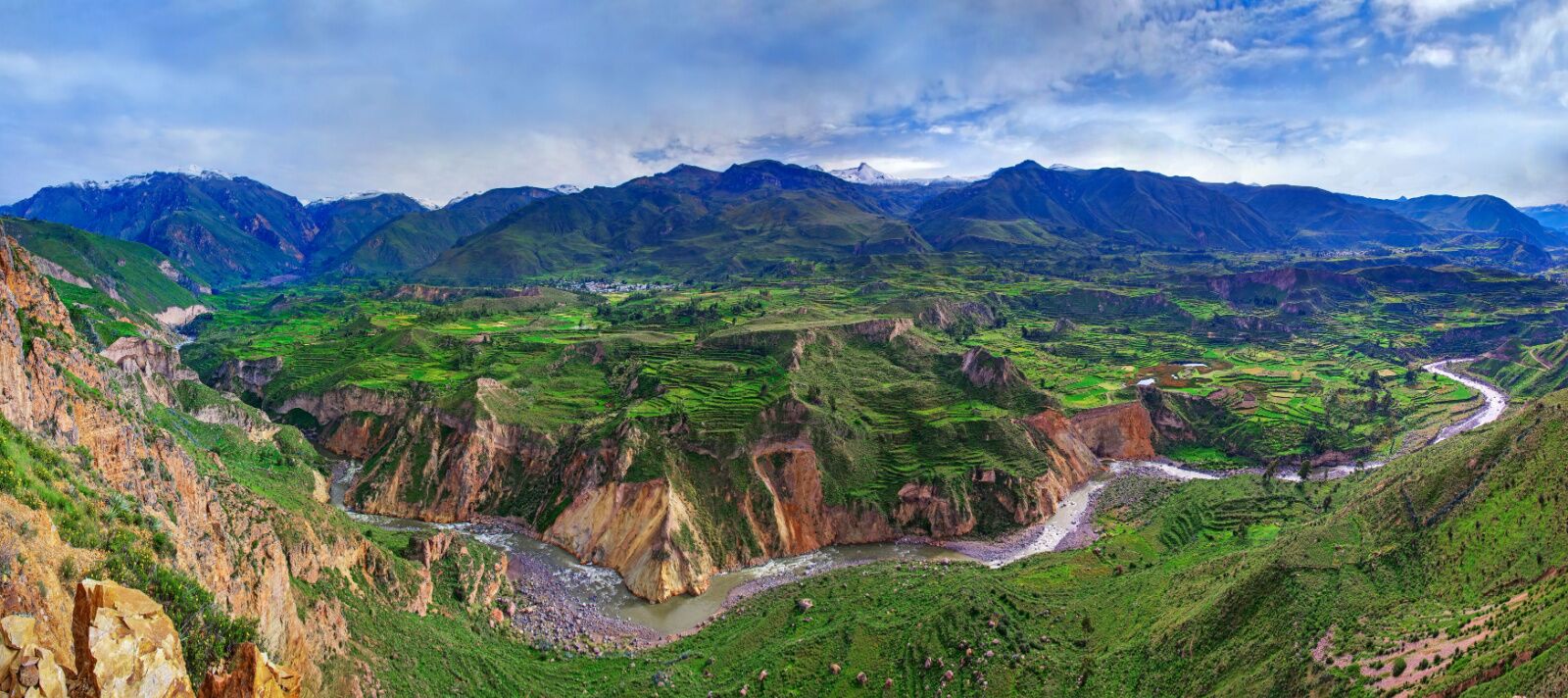 andean condors - colca canyon green scene