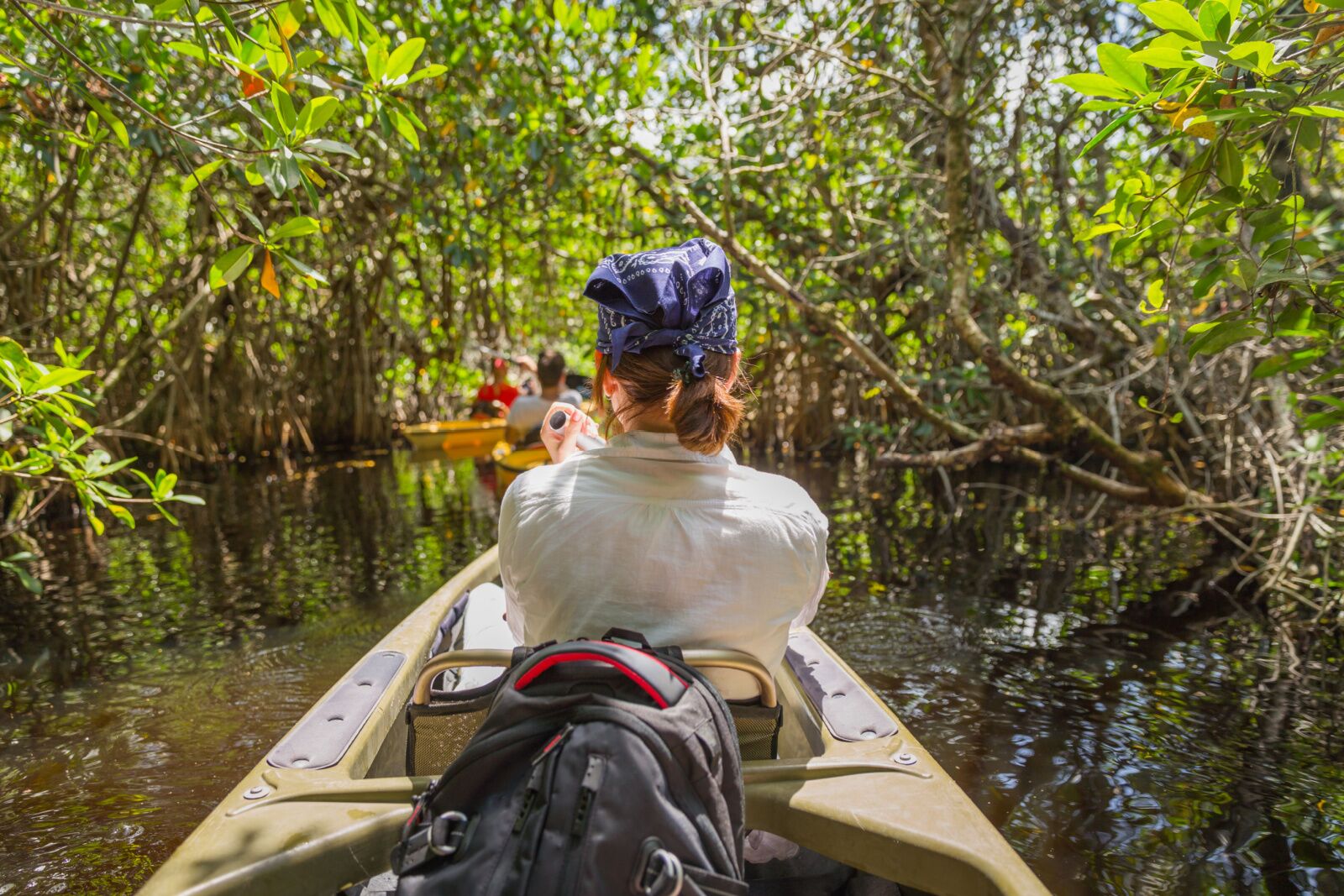 things to do in everglades national park - kayak