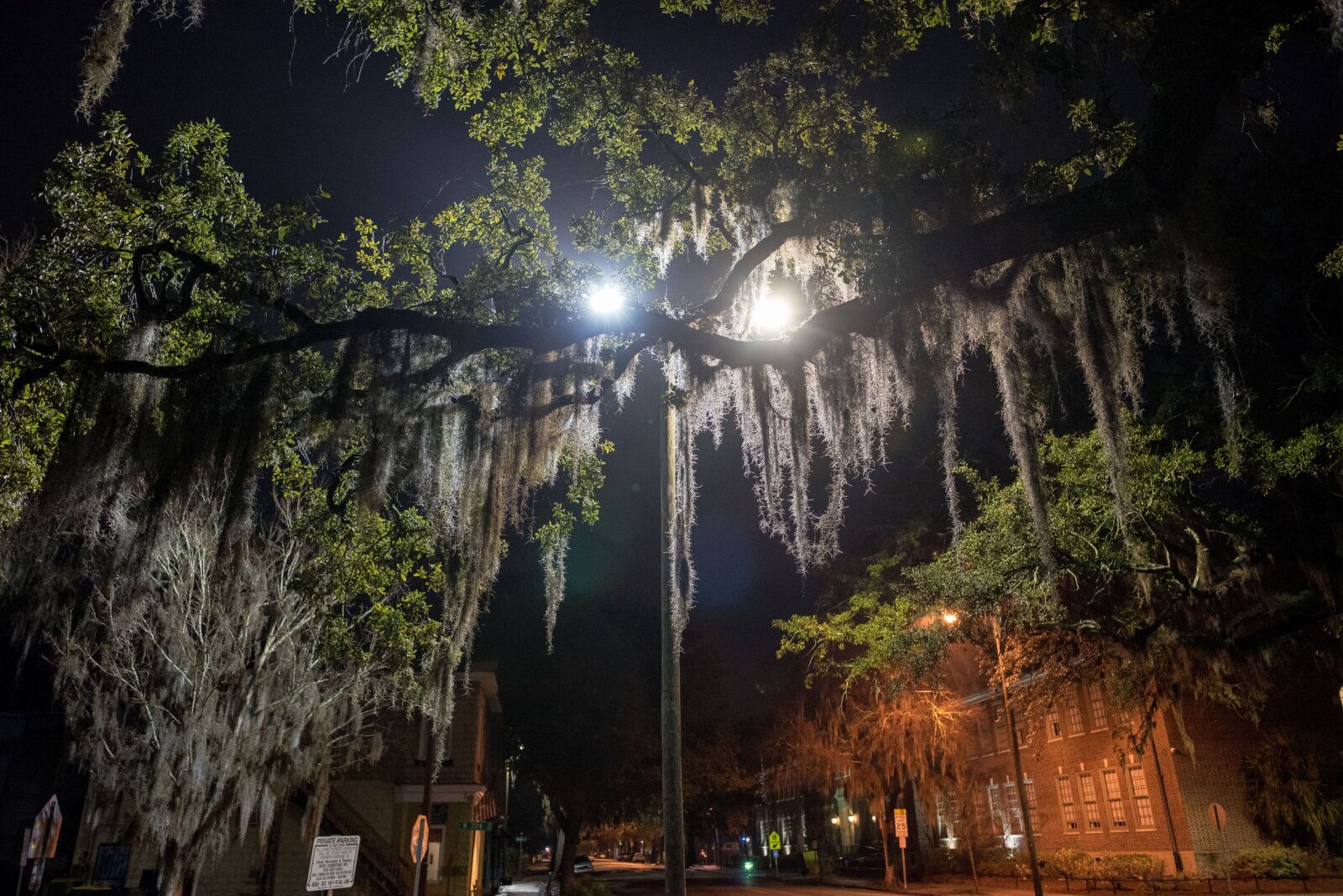 spooky cities - new orleans