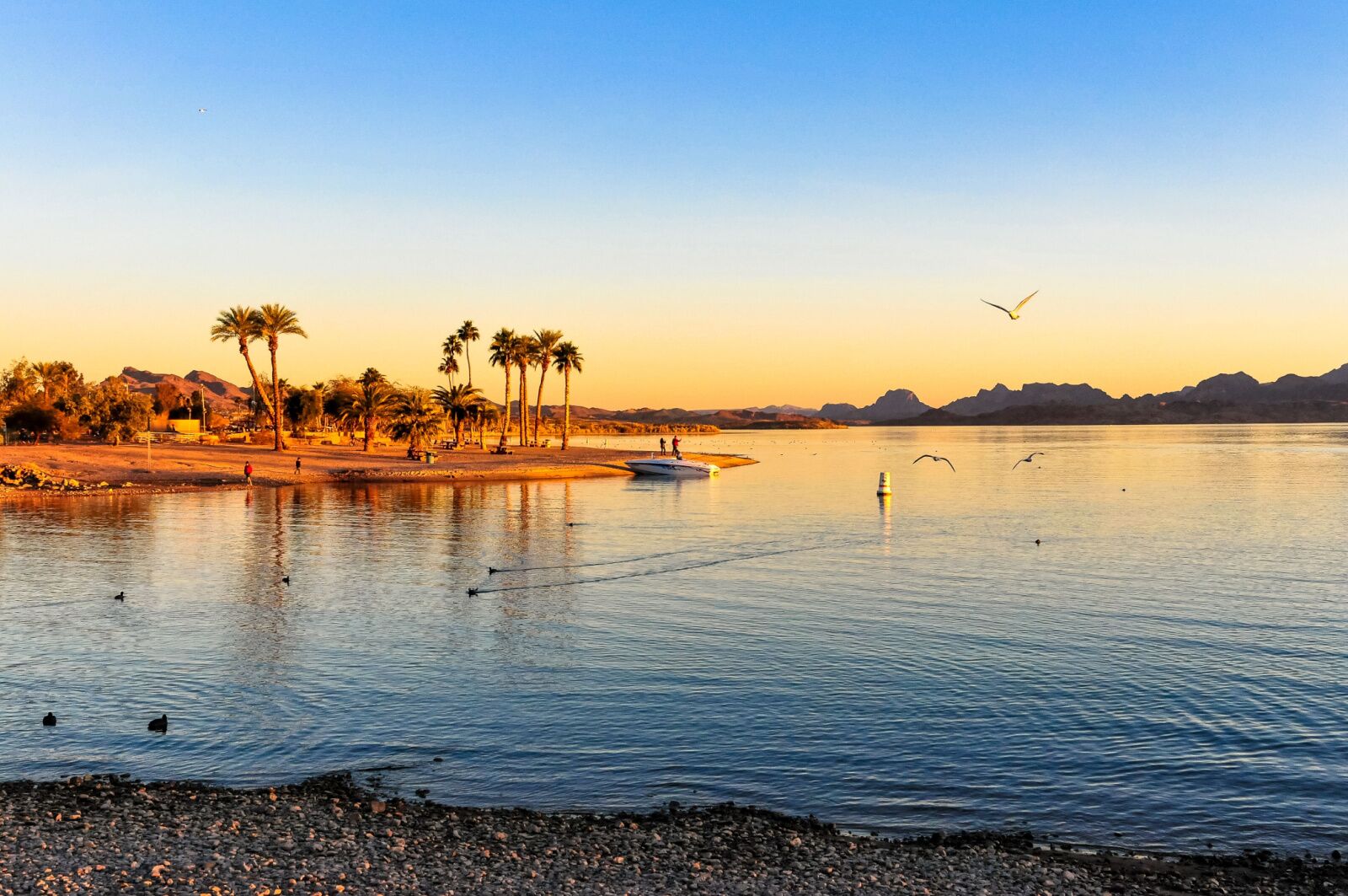 lake havasu arizona