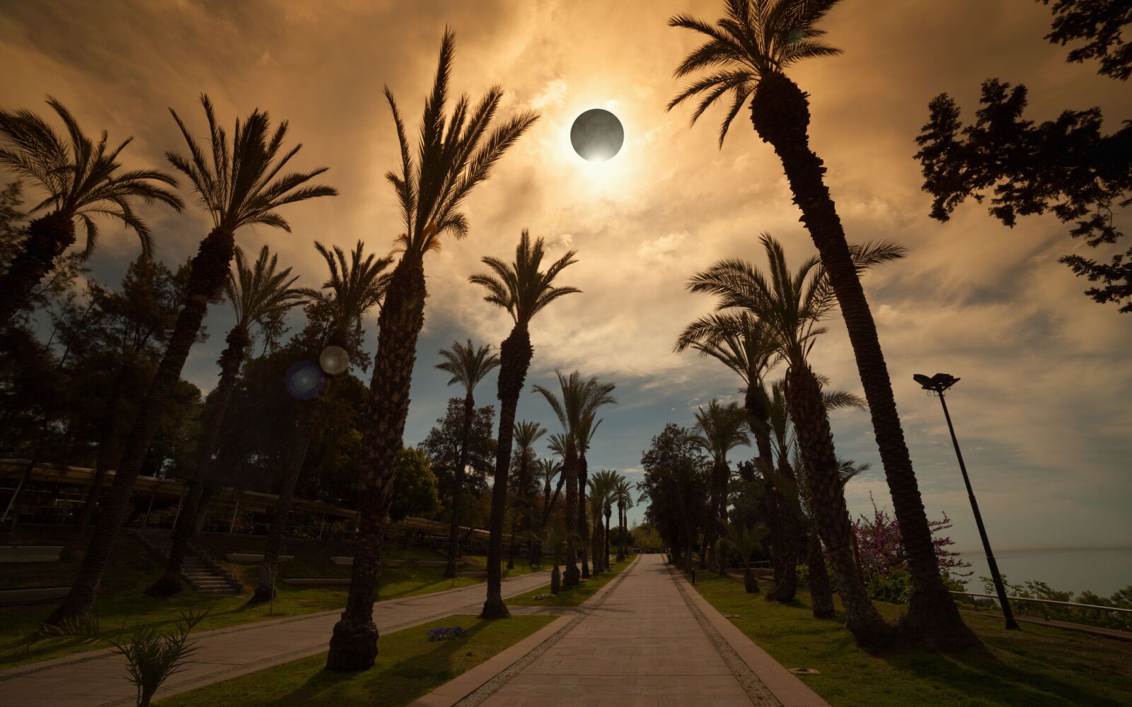 solar eclipse mexican beach road