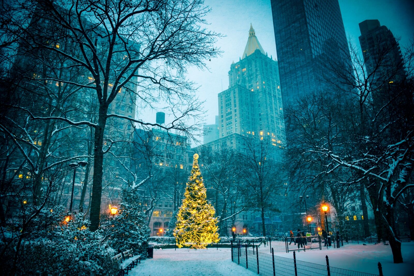 Scenic winter evening view of the glowing lights of a Christmas tree surrounded by the skyscrapers of Midtown Manhattan in Madison Square Park