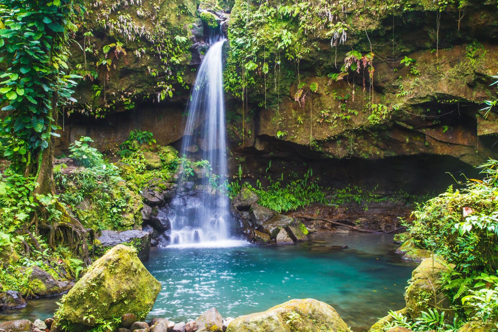 dominica waterfall in the caribbean