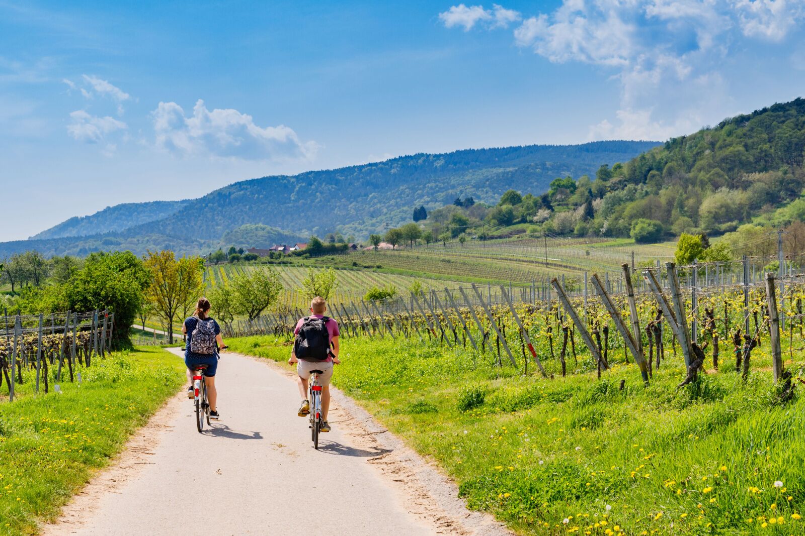 european river cruising - active cyclists in germany