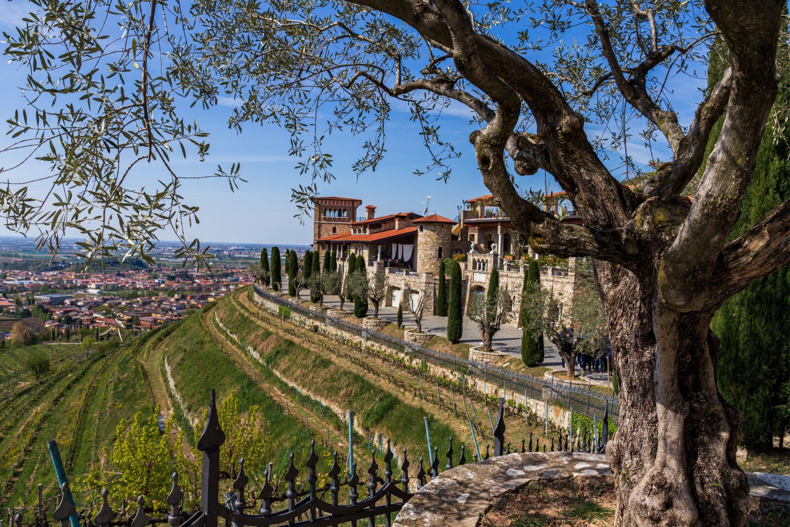 historic winery in italy