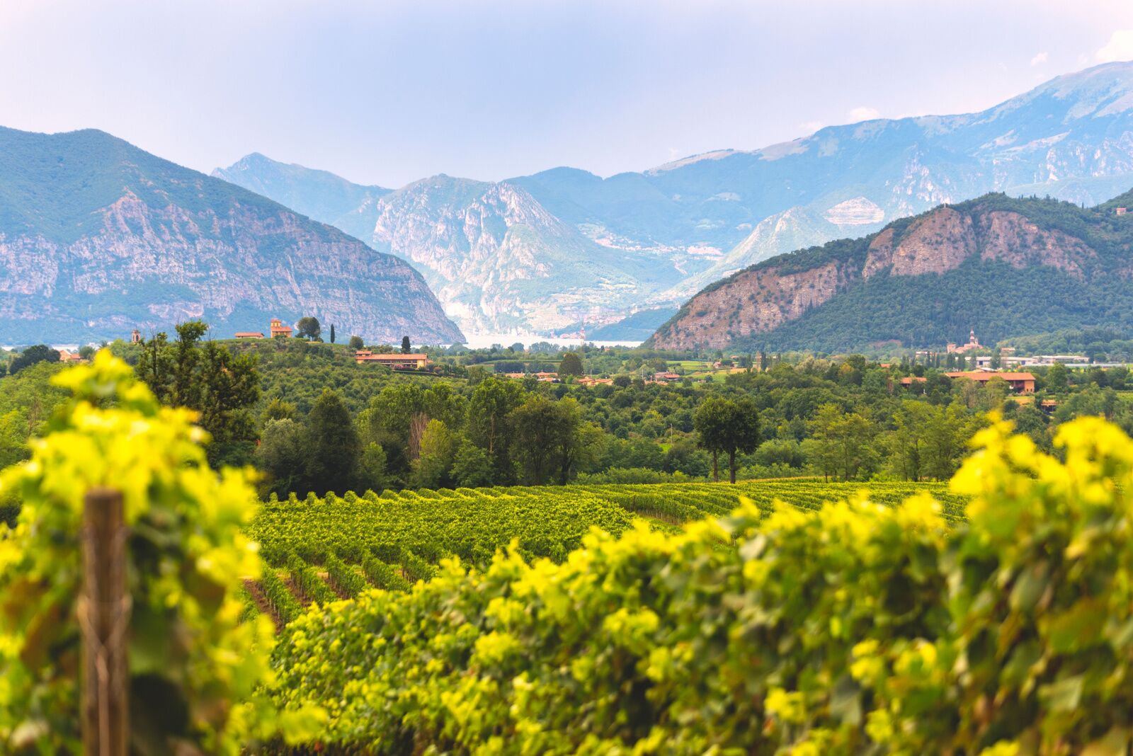 franciacorta wine region in northern italy