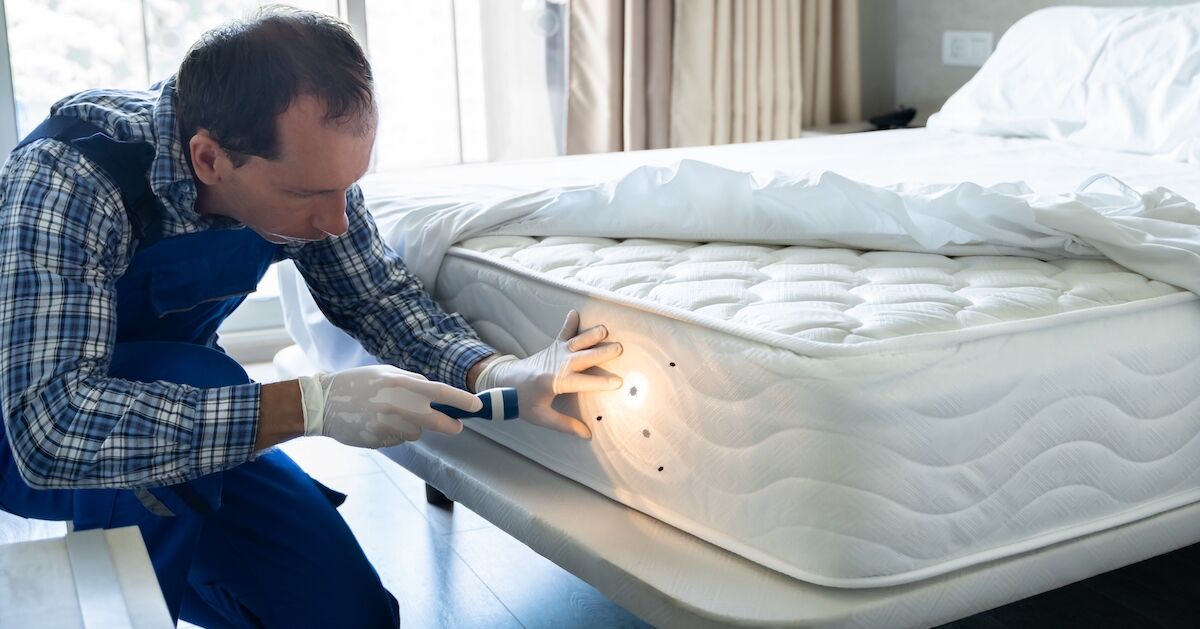 How to Check for Bed Bugs in a Hotel (and More Tips for Travelers)