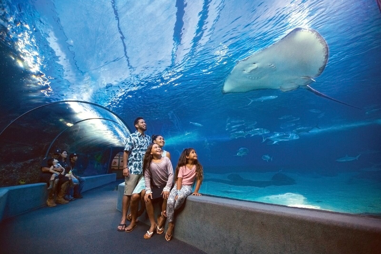 best museums in hawaii - aquarium