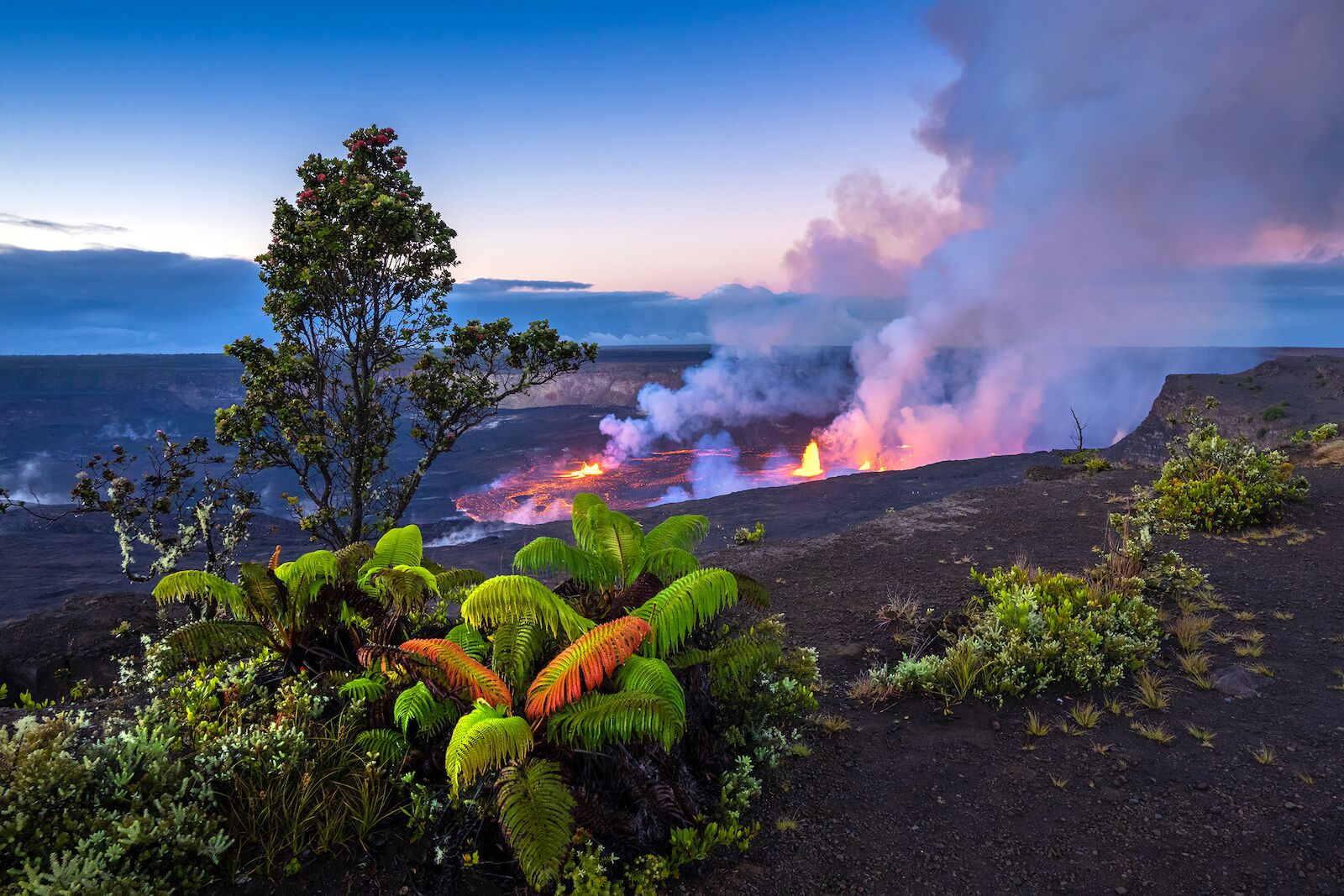 hawaii fern and volcanoes