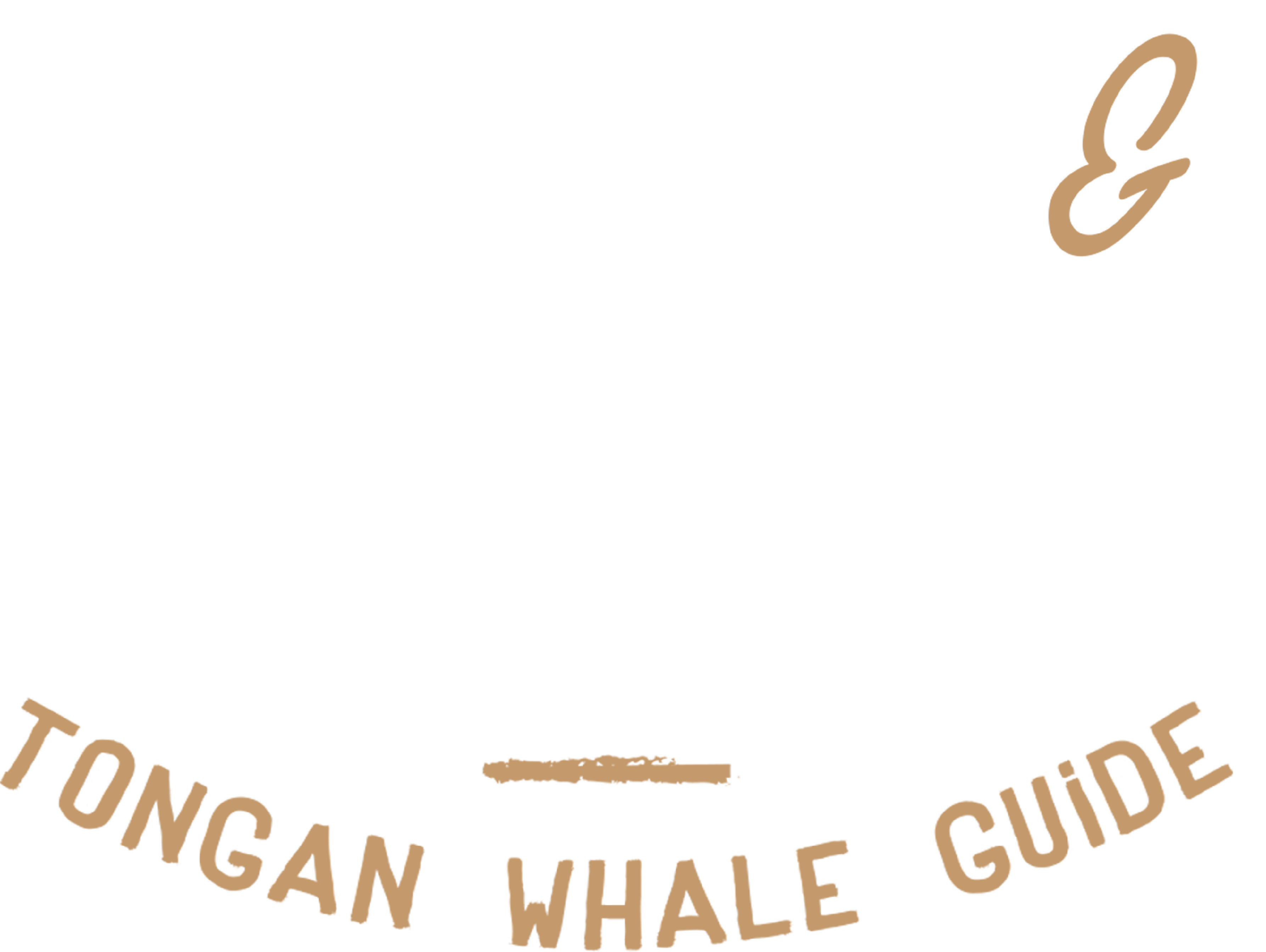 Water & Solitude, The Story of a Tongan Whale Guide