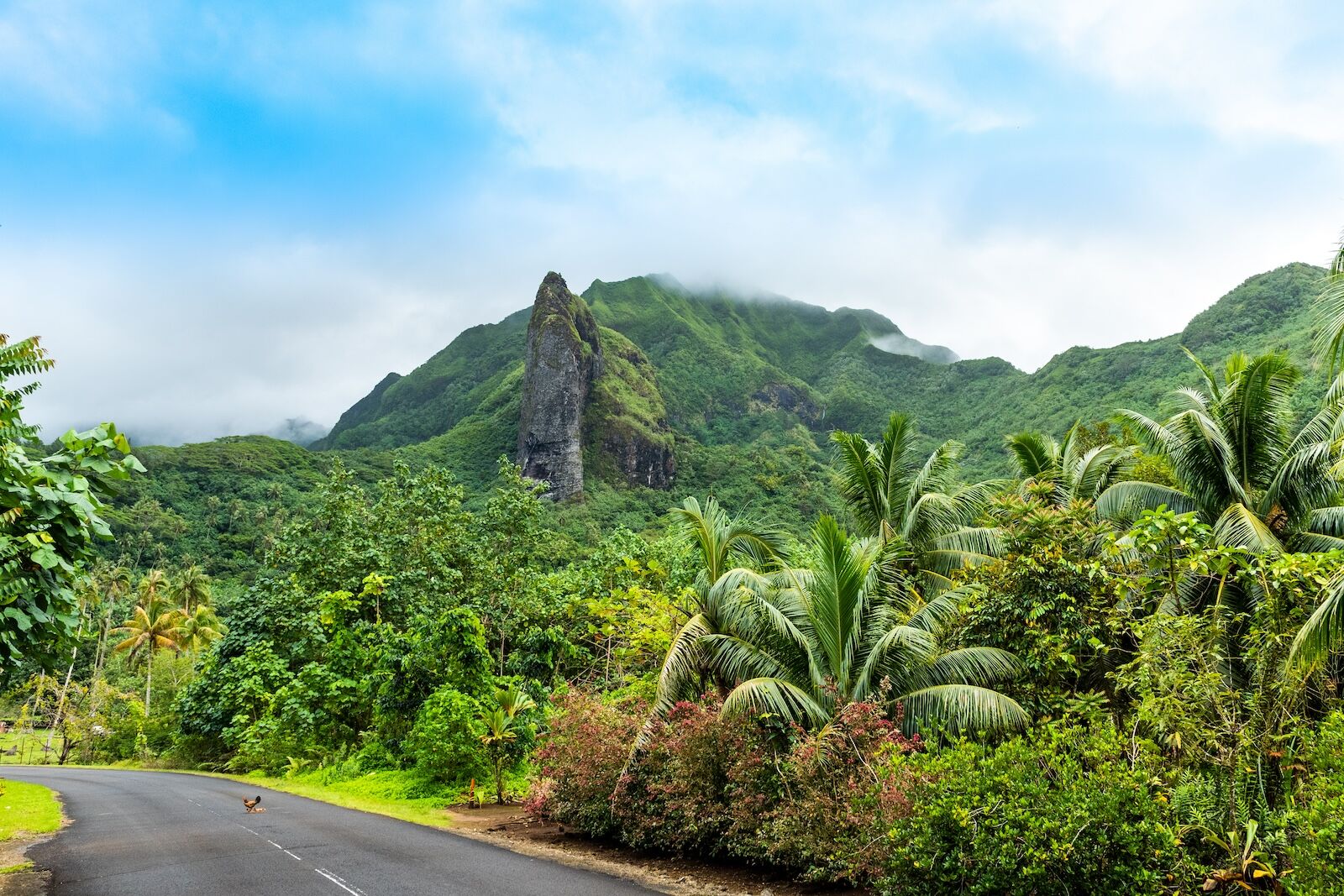 Mountain landscape of Raiatea island, French Polynesia
